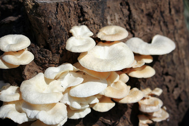 Similar image 13156004