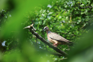 Similar image 13156025