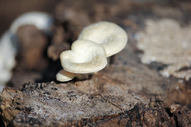 Similar image 13156026