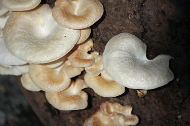 Similar image 13156028