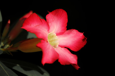 Similar image 13156064