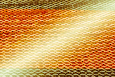 Similar image 13156065