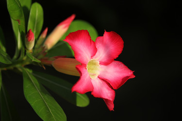 Similar image 13156067