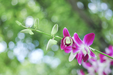 Similar image 13156107