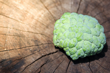 Similar image 13156108