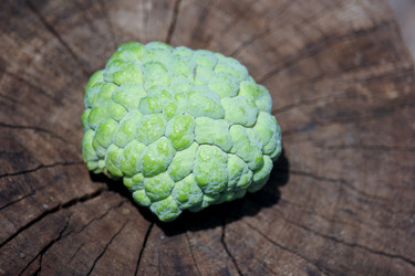 Similar image 13156147