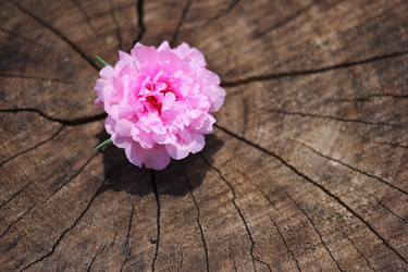 Similar image 13156168