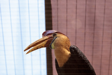 Similar image 13154215