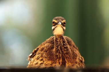 Similar image 13154231