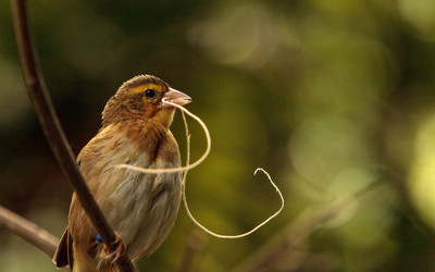 Similar image 13154234