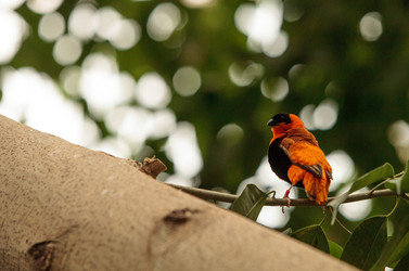 Similar image 13154250