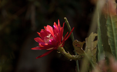 Similar image 13154279