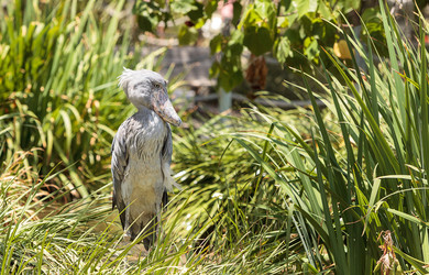 Similar image 13154281