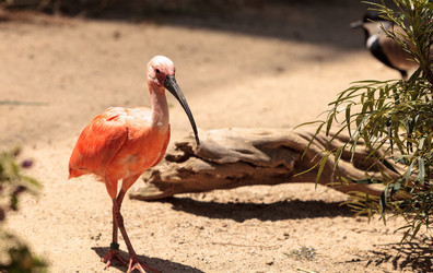 Similar image 13163127