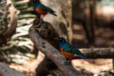 Similar image 13170233