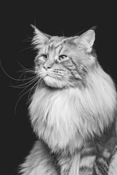 Similar image 13183245