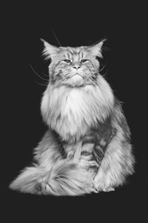 Similar image 13183246