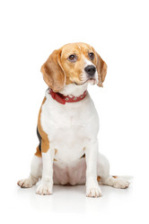 Similar image 13183048