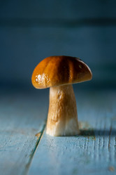 Similar image 13179857