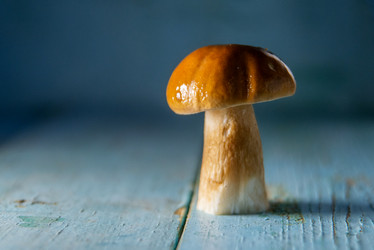 Similar image 13179858