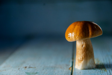 Similar image 13179877