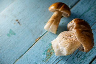 Similar image 13179898