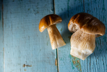 Similar image 13179899