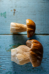 Similar image 13179918