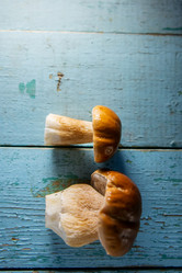 Similar image 13179939