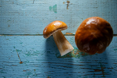 Similar image 13179940