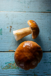 Similar image 13179959