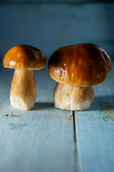 Similar image 13179960