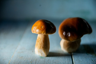 Similar image 13179976