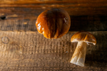 Similar image 13179978