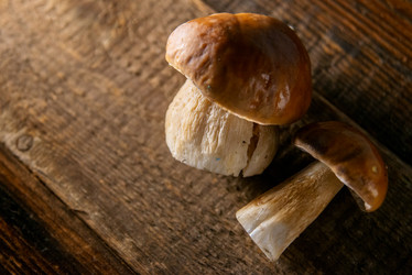 Similar image 13179979