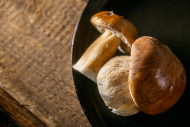 Similar image 13179996