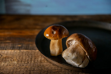 Similar image 13179998