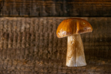 Similar image 13180018