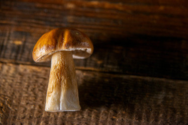 Similar image 13180019