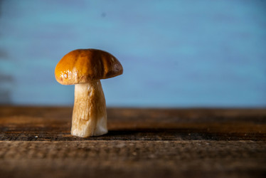 Similar image 13180038