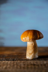 Similar image 13180039