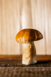 Similar image 13180040