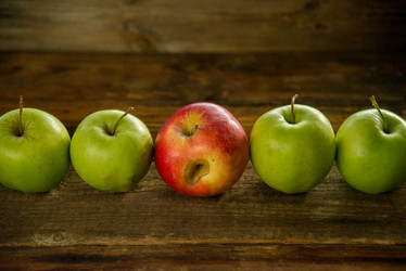 Similar image 13180681