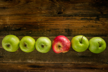 Similar image 13180682