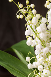 Similar image 13149044