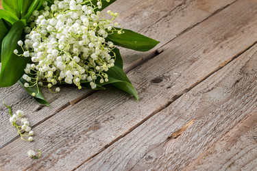 Similar image 13149045