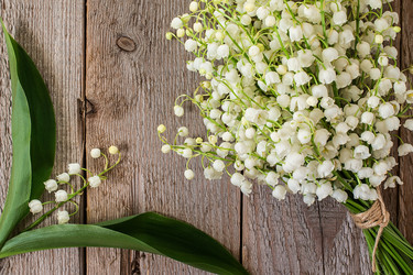 Similar image 13149036