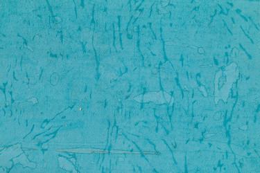 Similar image 13149050