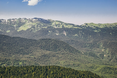 Similar image 13165461