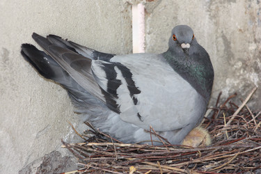 Similar image 13163473